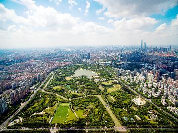 上海發佈支持浦東改革開放再出發“20條” 賦予浦東新區更大改革自主權