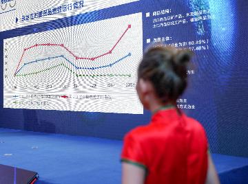 中俄(哈尔滨)经贸指数首发 将成两国贸易＂晴雨表＂