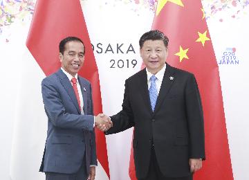 Xi calls for new areas in China-Indonesia cooperation
