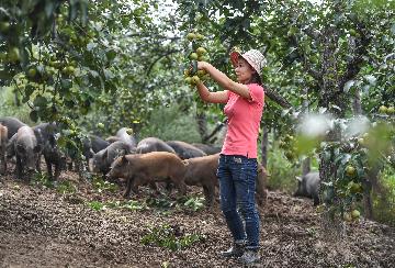China to ensure supply of farm produce, keep prices stable