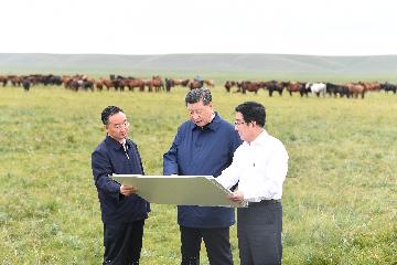 Xi underlines ecological protection as national strategy