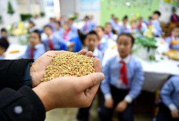  Xi stresses stopping wasting food, promoting thrift