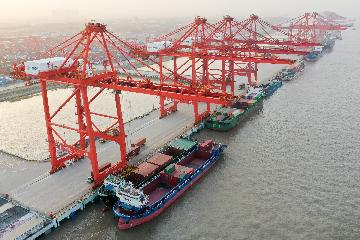 China terminates anti-dumping duties on pyridine imports from India, Japan