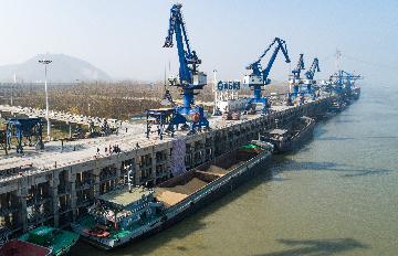 Soybean imports surge via Chinas Tianjin port