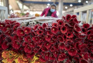 Kenyan flowers transported to China aboard direct flights