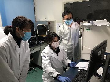 China to promote IT application in virus control efforts
