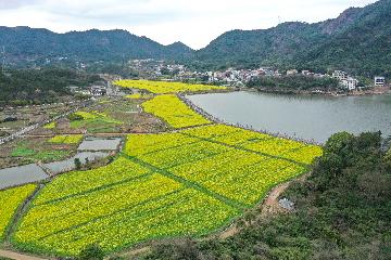 Chinas provincial-level governments enjoy more autonomy over land use