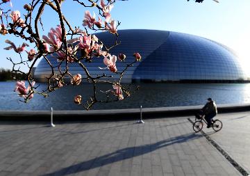 Beijing unveils plan to build international consumption center city