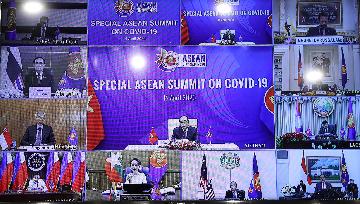ASEAN Plus Three countries pledge to jointly fight COVID-19