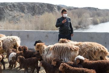 新疆:一季度经济数据新业态抢眼