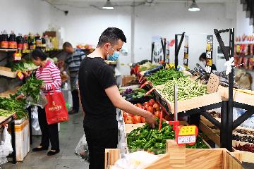 China targets CPI increase of around 3.5 pct in 2020