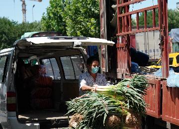 北京市生活必需品总体供应平稳 六大批发市场14日蔬菜上市量超15000吨