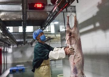 China issues guidelines for COVID-19 prevention, control in meat plants