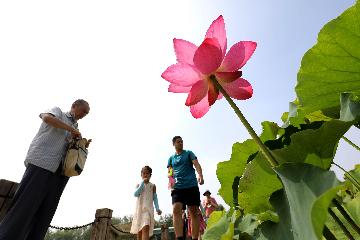 Chinas tourism, consumption pick up during Dragon Boat Festival holiday
