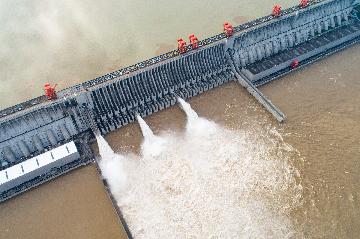 Three Gorges Dam yet to hit full flood storage capacity: operator