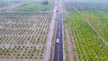 胡春華強調  大力推進農業農村投資建設