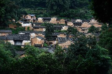 浙江松陽:拯救老屋喚醒中國傳統村落