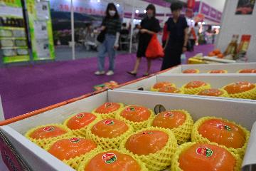 第十一届东莞台湾名品博览会开幕 逾360家台企参加