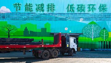 China to build clean, low-carbon energy system