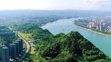 Yearender: 2020 in review, China pursues green growth despite COVID-19