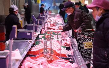 Chinas CPI up 0.2 pct in December