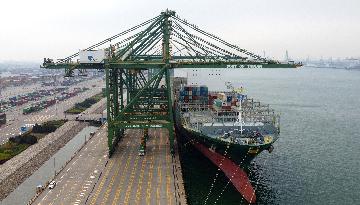 Chinas major ports record container throughput growth