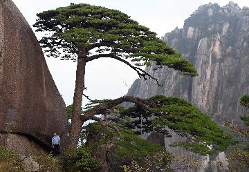 World heritage site Huangshan aims for green development
