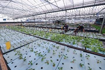 China to build more eco-farms by 2025