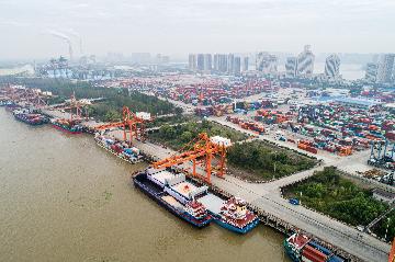 Economic Watch: Chinas foreign trade shows resilience amid pandemic