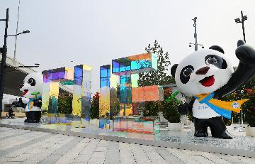 ＂金色大门＂越开越大--第四届中国国际进口博览会观察