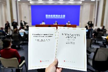 China Focus: White paper elaborates on Chinas policies, initiatives in tackling climate change