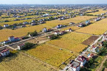 江苏省未来五年将建400家无人农场