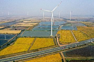 Yearender-China Focus: Chinas sci-tech breakthroughs boost low-carbon chemical industry