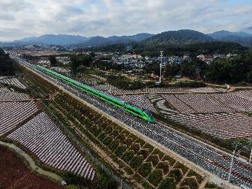 China trades goods worth over 100 mln USD via China-Laos Railway
