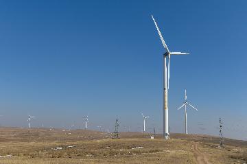 China Energy continues leading world in wind power capacity
