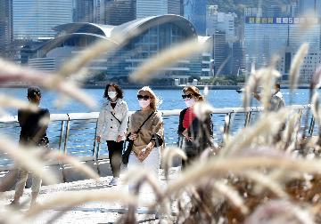 香港經濟一季度預估同比下跌4%