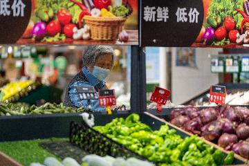 Chinas retail sales up 3.3 pct in Q1