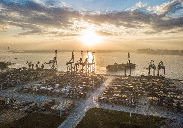 海南自由贸易港-东盟智库联盟正式成立