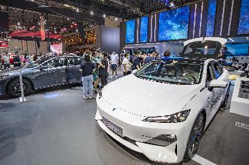 Sales of Chinese-brand cars jump 43.1 pct in June