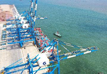 Sea-rail intermodal container terminal launched in Chinas Guangxi