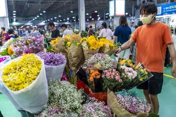 Chinas Yunnan facilitates flower exports to Thailand