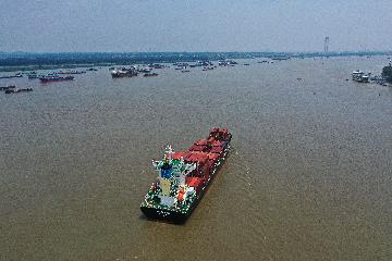 Chinas coastal bulk freight index up in July