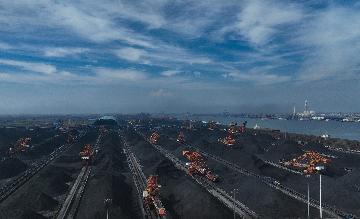 China coal output up 8.1 pct in August