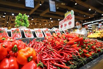 食品相关产品质量安全监督管理暂行办法明年3月起施行