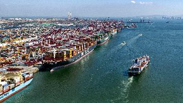 Chinas Shandong sees foreign trade up 18.2 pct in Jan.-Aug.