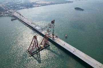 Chinas coastal city Xiamen sees trade with BRICS climb 26.2 pct