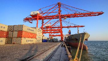 10月23日全国监测港口完成集装箱吞吐量环比增长12.6%