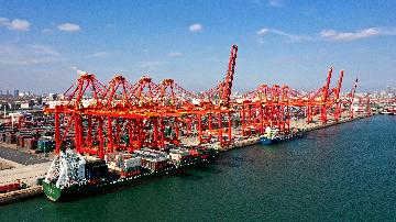 Chinese ports container throughput maintains expansion in Jan.-Sept.