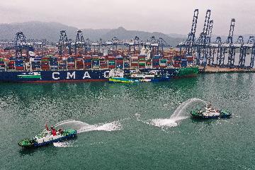 Shenzhen port records container throughput of over 30 million TEUs
