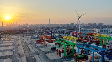 Chinas Tianjin port sees robust trade growth in Jan-Feb